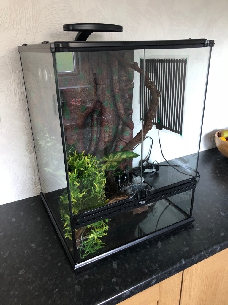 Exo Terra Glass Terrarium 45x45x60cm in Ashington, Northumberland Gumtree