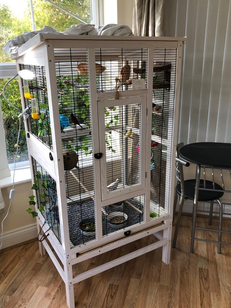 HUGE BIRD CAGE / AVIARY in Christchurch, Dorset Gumtree