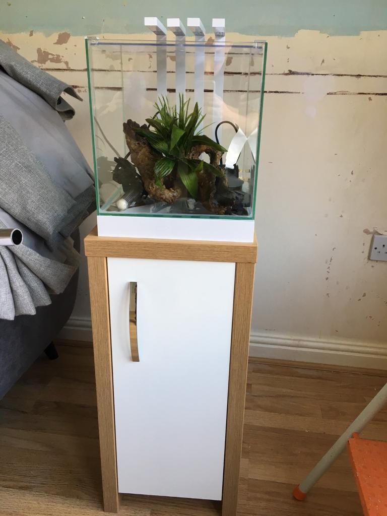 Complete tropical fish tank set up in Newark, Nottinghamshire Gumtree