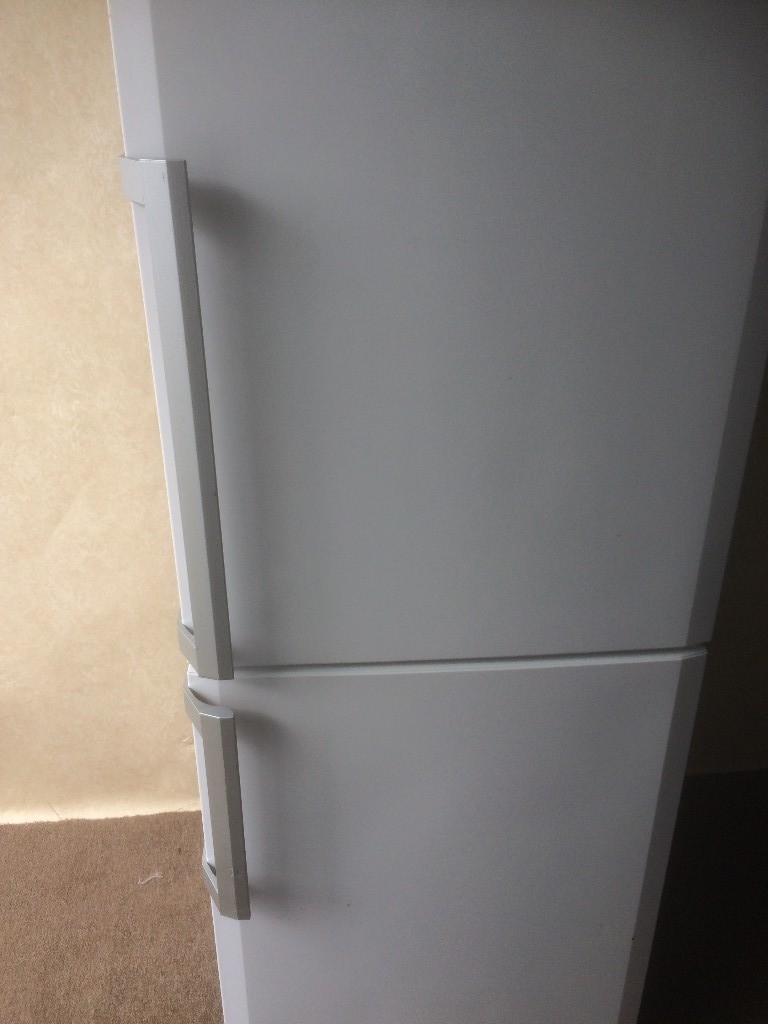 Bloomberg fridge freezer(delivery available) in Norwich, Norfolk