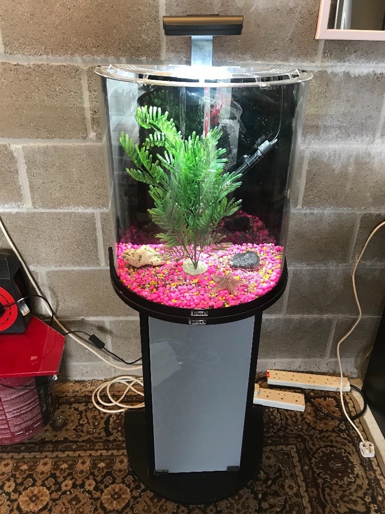 35l tetra fish tank v g c full set up with stand heater light pump lid