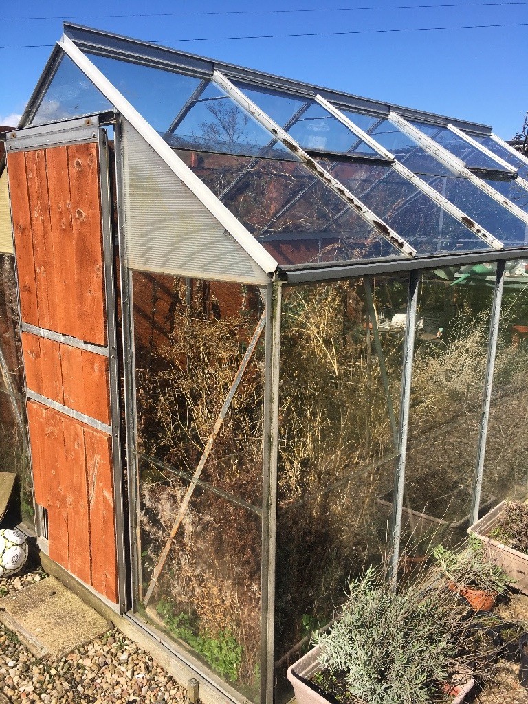 Greenhouse for Sale in Roslin, Midlothian Gumtree