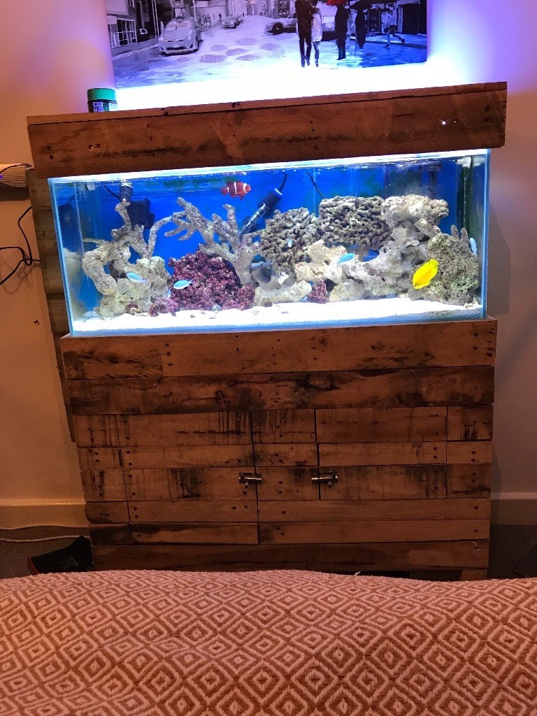 Full MARINE aquarium set up. 3 foot 125L tank and in Bristol