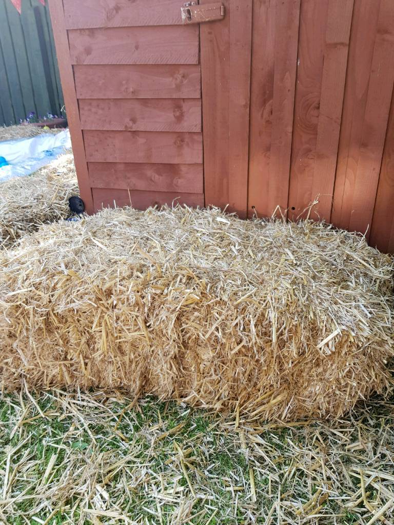 20 hay bales for sale in Gateshead, Tyne and Wear Gumtree