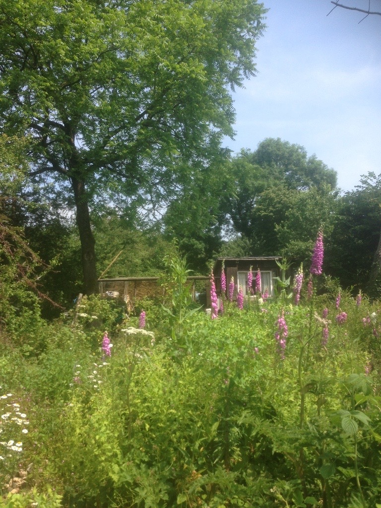 a redundant milking parlour set in a quiet rural location