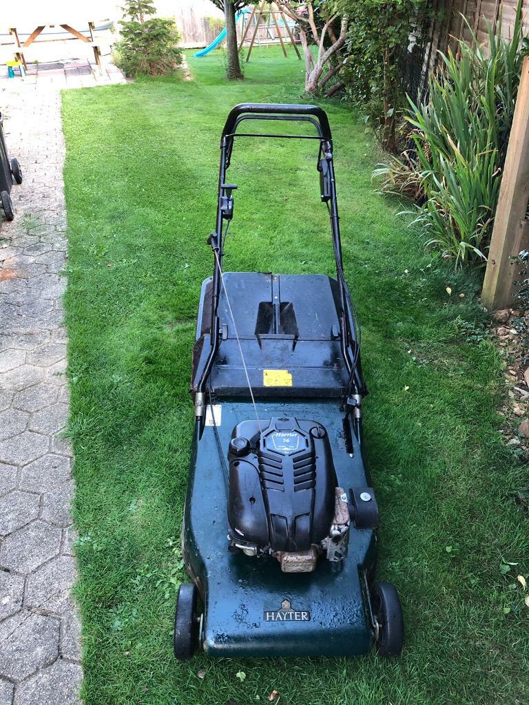 Hayter Harrier 56 BBC Self Drive Lawn Mower in Yeovil, Somerset Gumtree