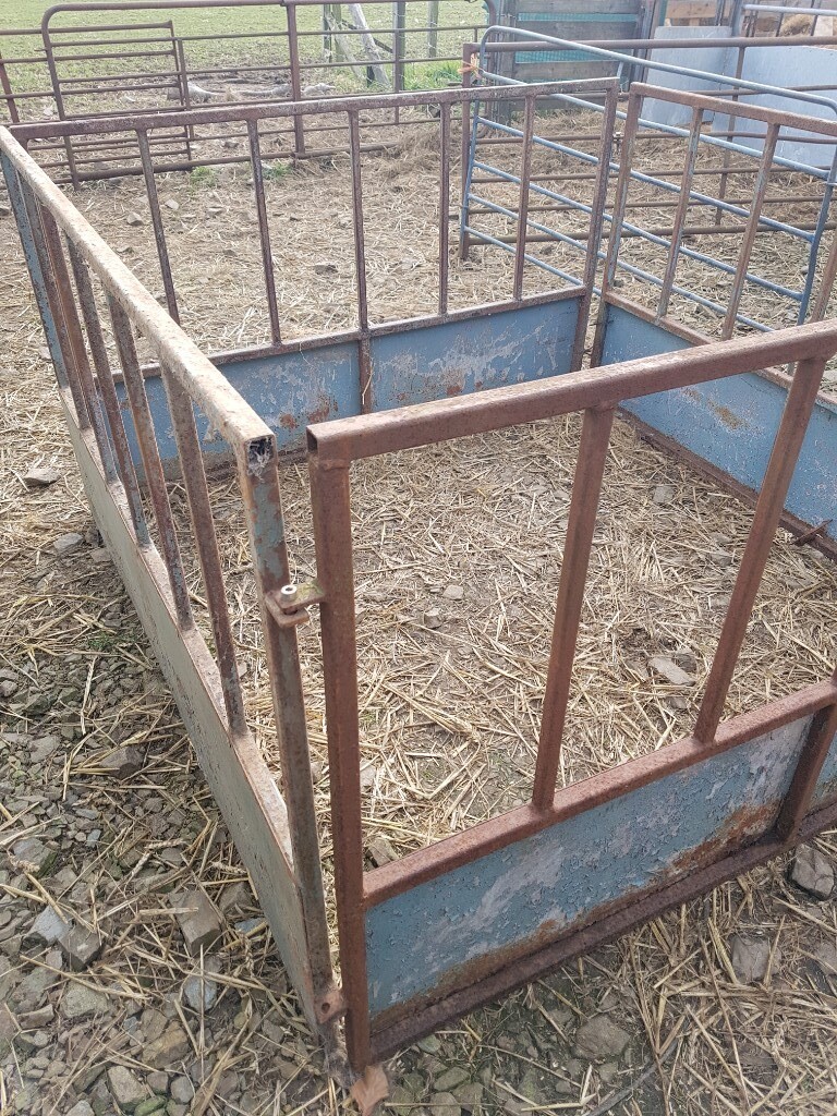 Sheep Hay Feeder &Opening gate in Fyvie, Aberdeenshire Gumtree