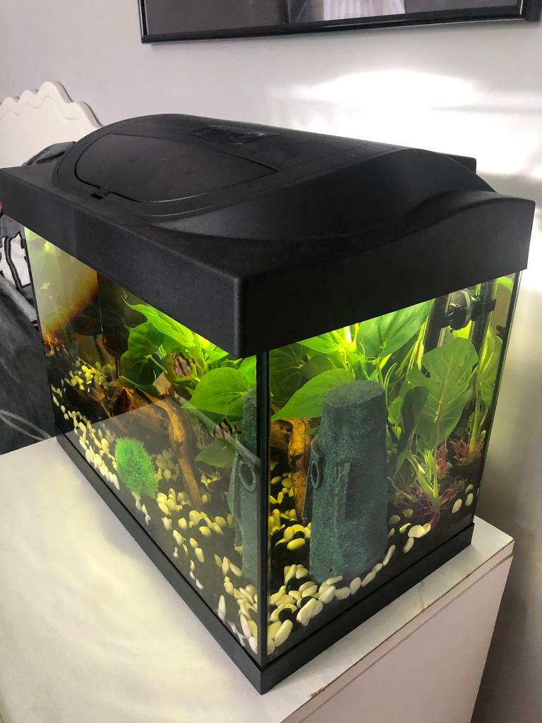 Tetra 30l aquarium in Sunderland, Tyne and Wear Gumtree
