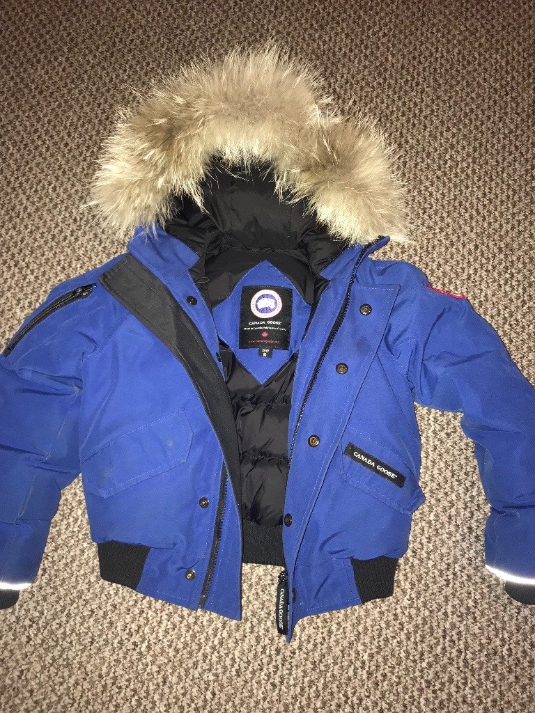 canada goose gumtree liverpool canada goose gumtree liverpool