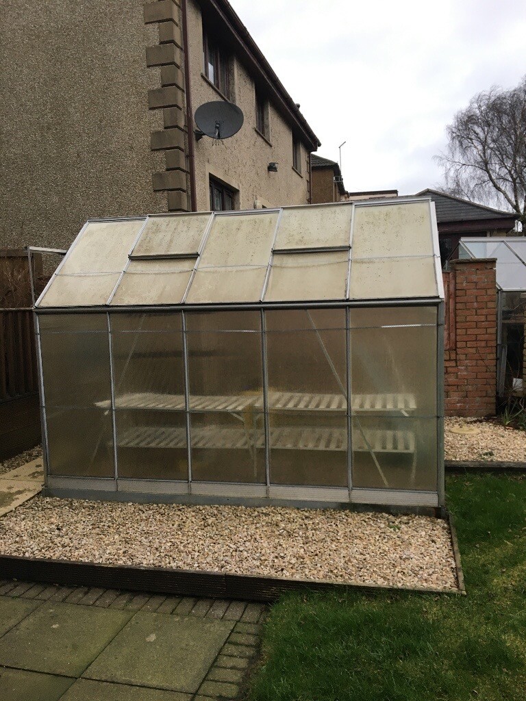 Aluminium Greenhouse with Perspex glazing in Beith, North Ayrshire