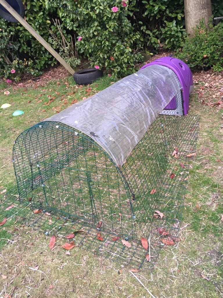 Eglu Classic Rabbit/guinea pig hutch in Wolverhampton, West Midlands