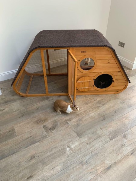  Chicken Ark for sale in UK 25 second-hand Chicken Arks