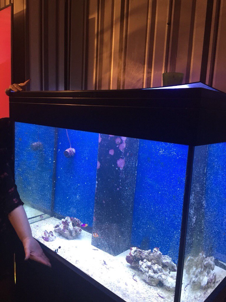 Marine 300 litre tank full set up salt water fish in Fforestfach, Swansea Gumtree