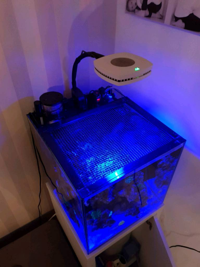 AI Prime HD aquarium light and flexible mount in Emersons Green