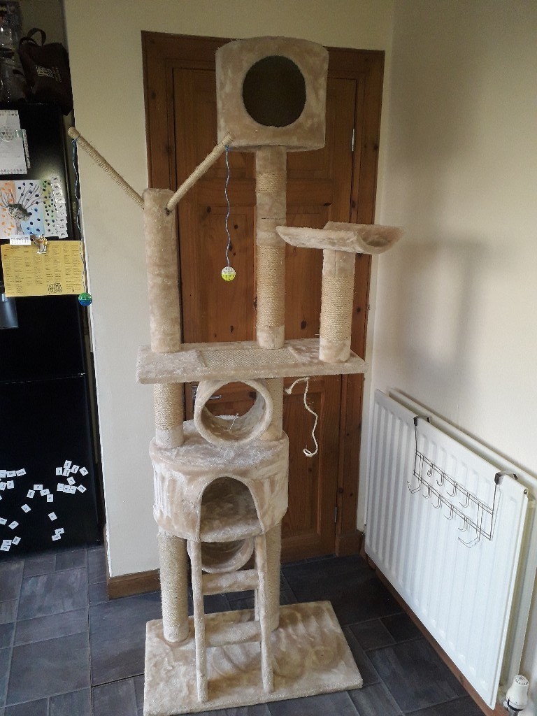 Extra large cat scratching post tall tower in Burntisland, Fife Gumtree