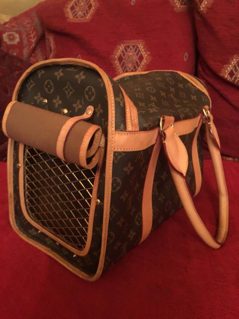 Louis Vuitton dog/cat carrier bag in Luton, Bedfordshire Gumtree