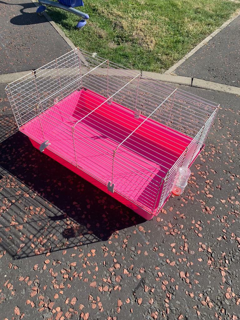 Pink guinea pig cage in Bathgate, West Lothian Gumtree