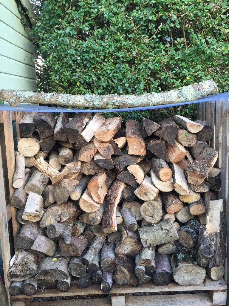 Hardwood Logs in Helston, Cornwall Gumtree