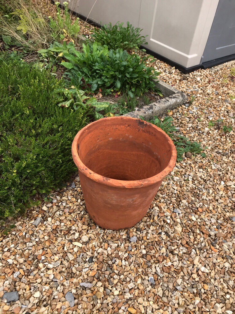 Large Terracotta Garden Pot in West Moors, Dorset Gumtree