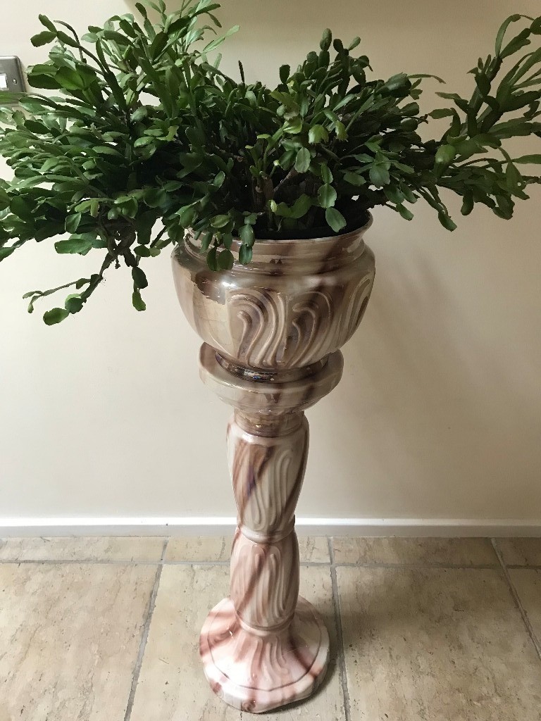 LARGE MATURE CHRISTMAS CACTUS INDOOR/OUTDOOR PLANT INCLUDING POT & STAND in Lisburn, County