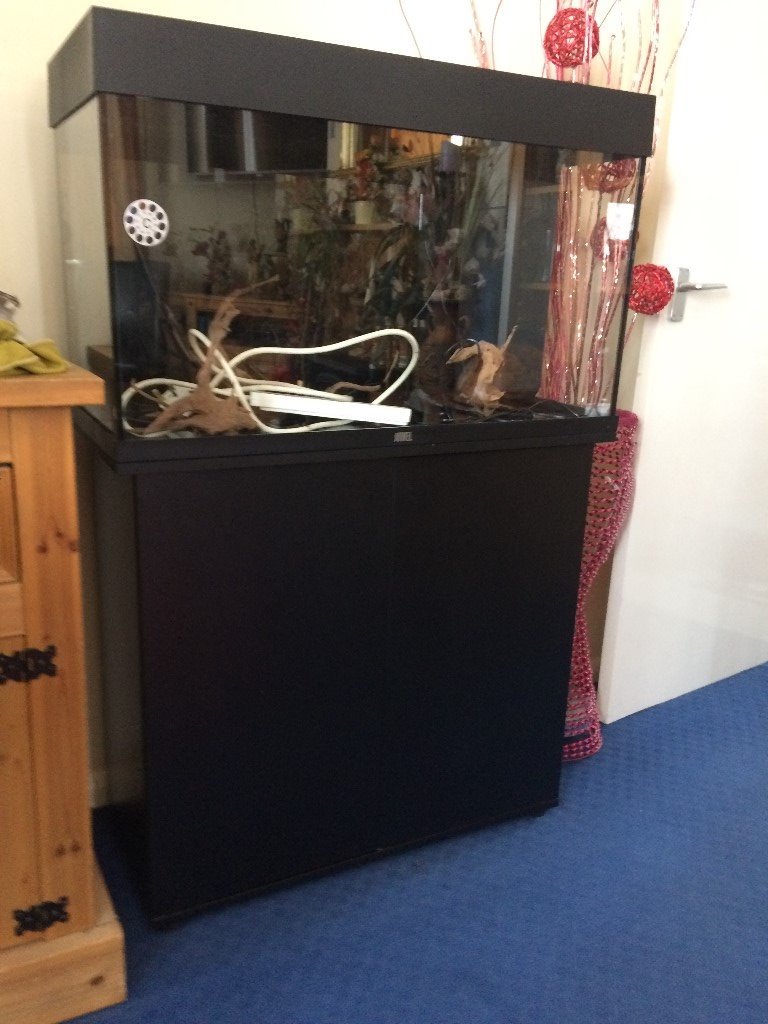 Jewel Rio 125 Fish Tank Latest Led Model 125 Sheerness Kent In Sheerness Kent Gumtree