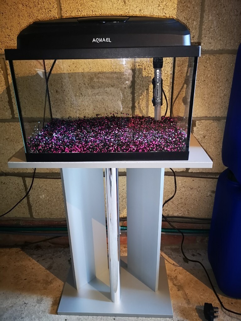 Fish tank 25 litre in Chippenham, Wiltshire Gumtree