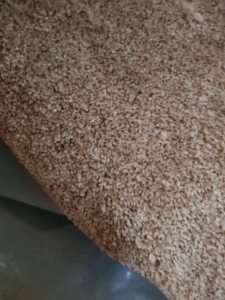 Brown Speckled carpet new 4x 3 m in Rochdale, Manchester Gumtree