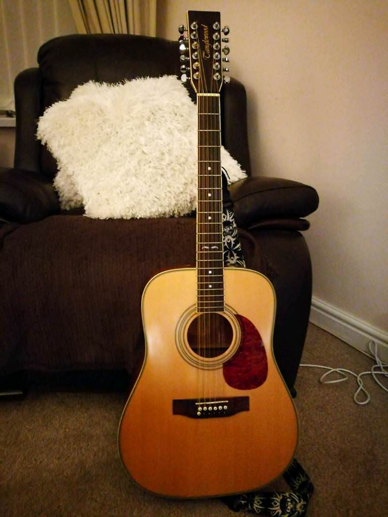 tanglewood 12 string guitar for sale