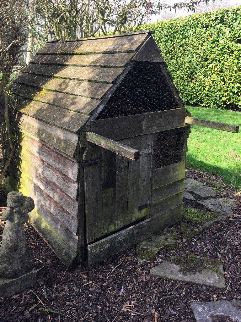 Chicken Coop / Dog Kennel - used - Minor Carpentry required | in Kings