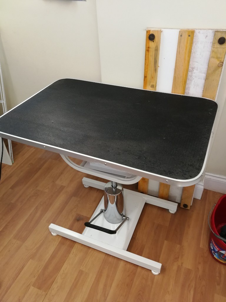 Hydraulic grooming table in Dunfermline, Fife Gumtree