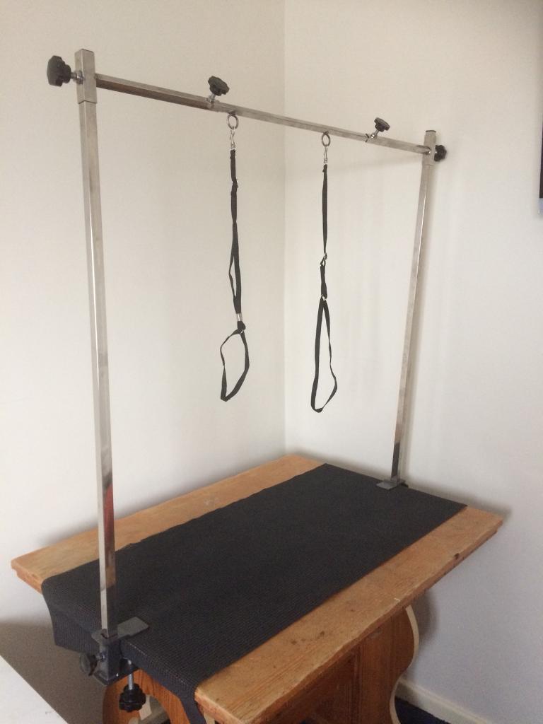 Table top Adjustable dog grooming stand in Plymouth, Devon Gumtree