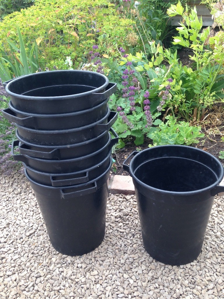 x8 floristry flower buckets great for DIY wedding in Stapleton