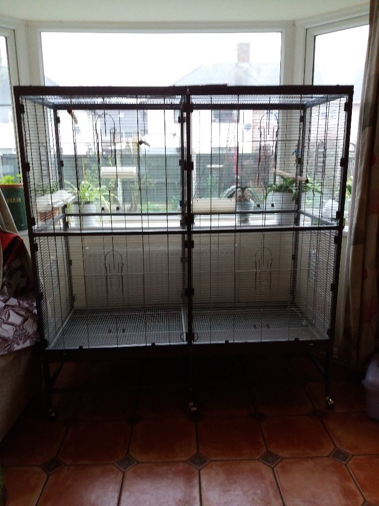 Large indoor aviary / bird cage in Clifton, Nottinghamshire Gumtree