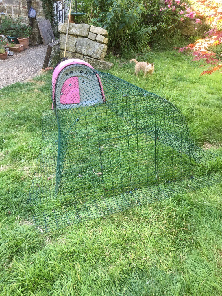 Omlet rabbit hutch and 2 meter run in Mayfield, East Sussex Gumtree