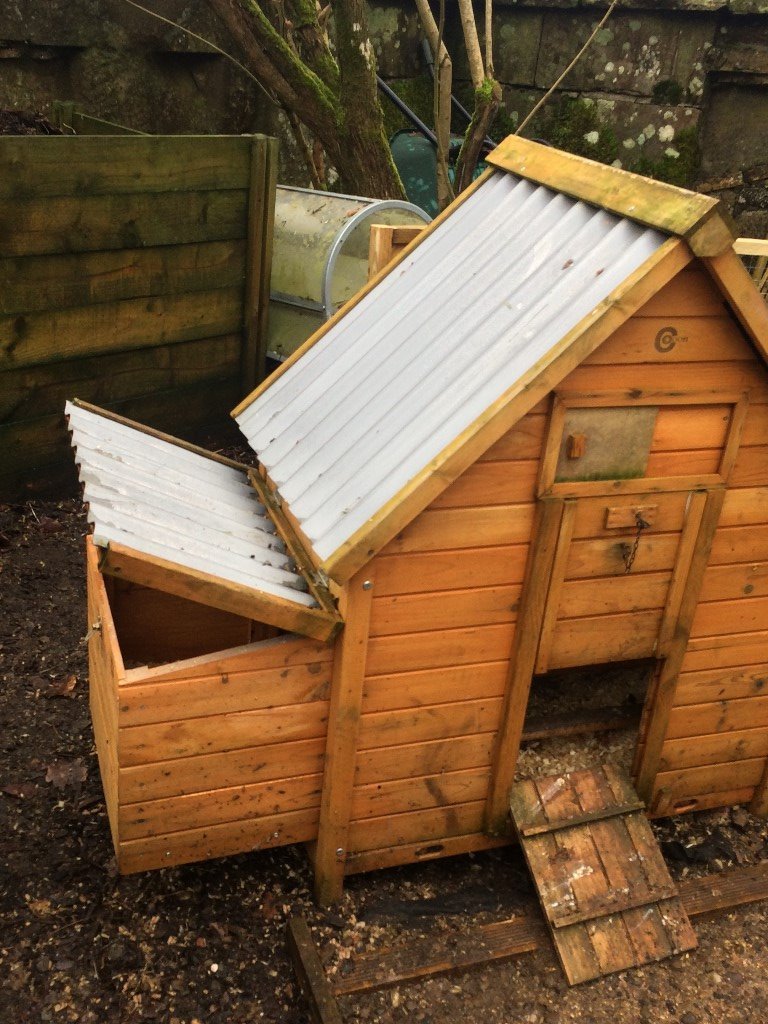 6 Bird Chicken Coop With Nesting Boxes 12 Aviary Panels And Three Polish Bantams Good Layers In Biggar South Lanarkshire Gumtree