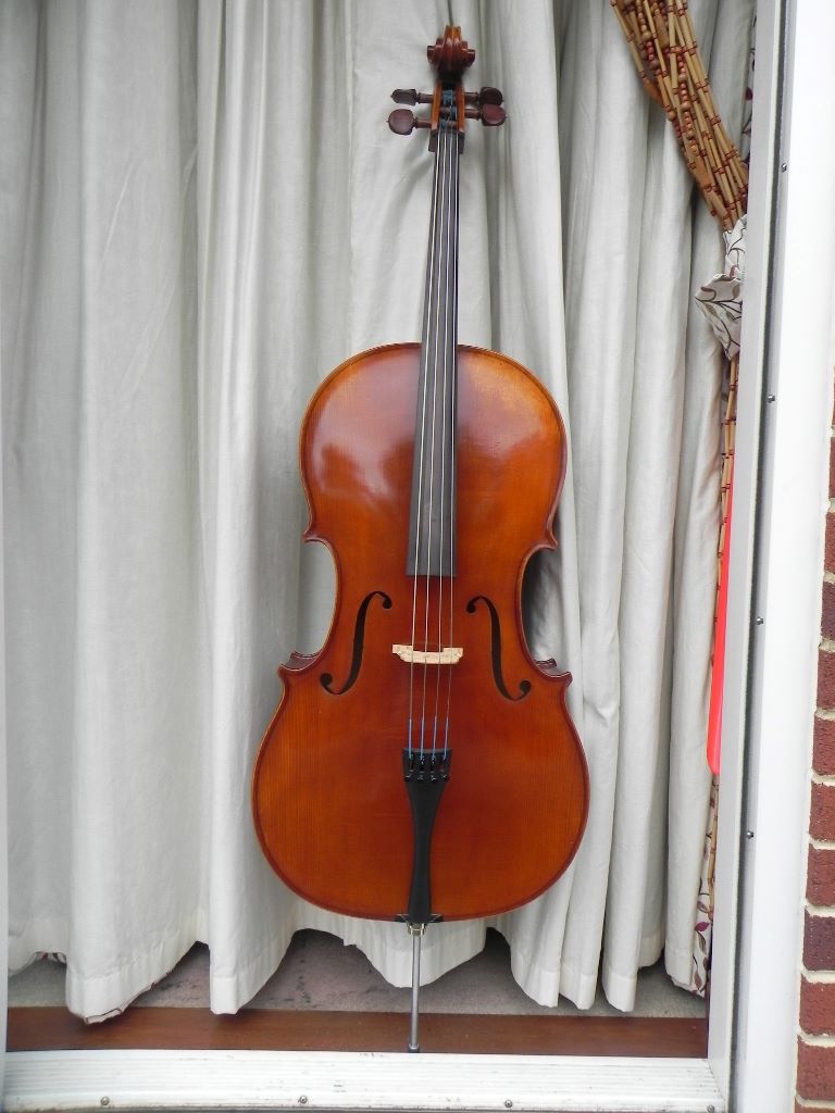 Roderich Paesold Cello + bow + case + music + accessories for sale