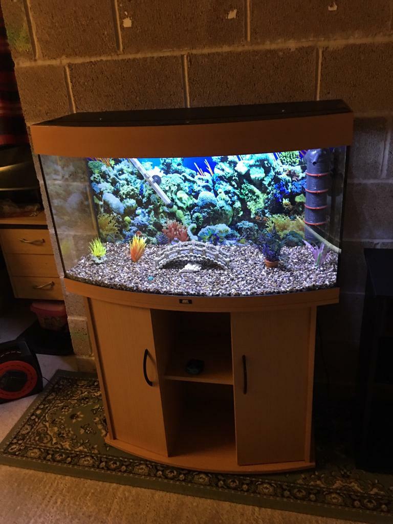 180l jewel bow front fish tank 3 ft long v g c full set up with stand