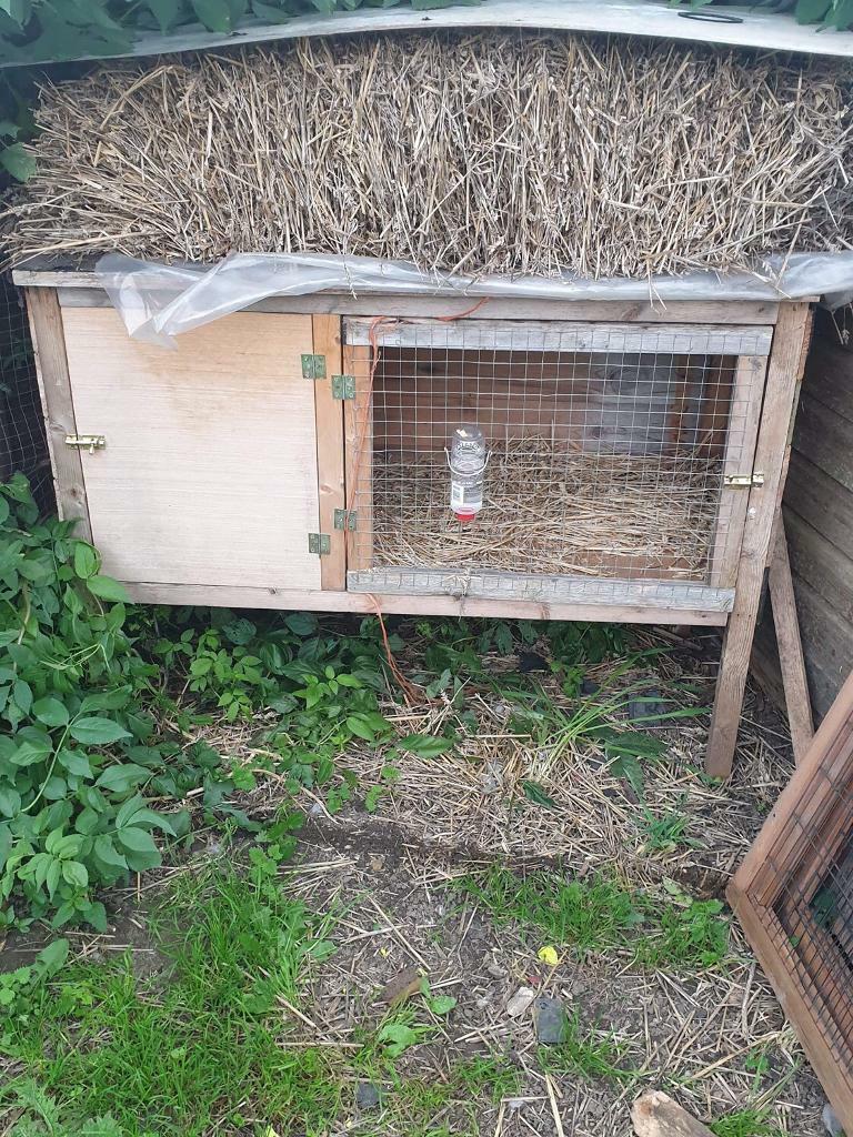 Rabbit hutch & run in Lofthouse, West Yorkshire Gumtree
