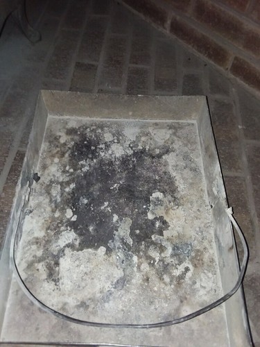 Hot blast Florence #155 Antique Coal/woodburning stove