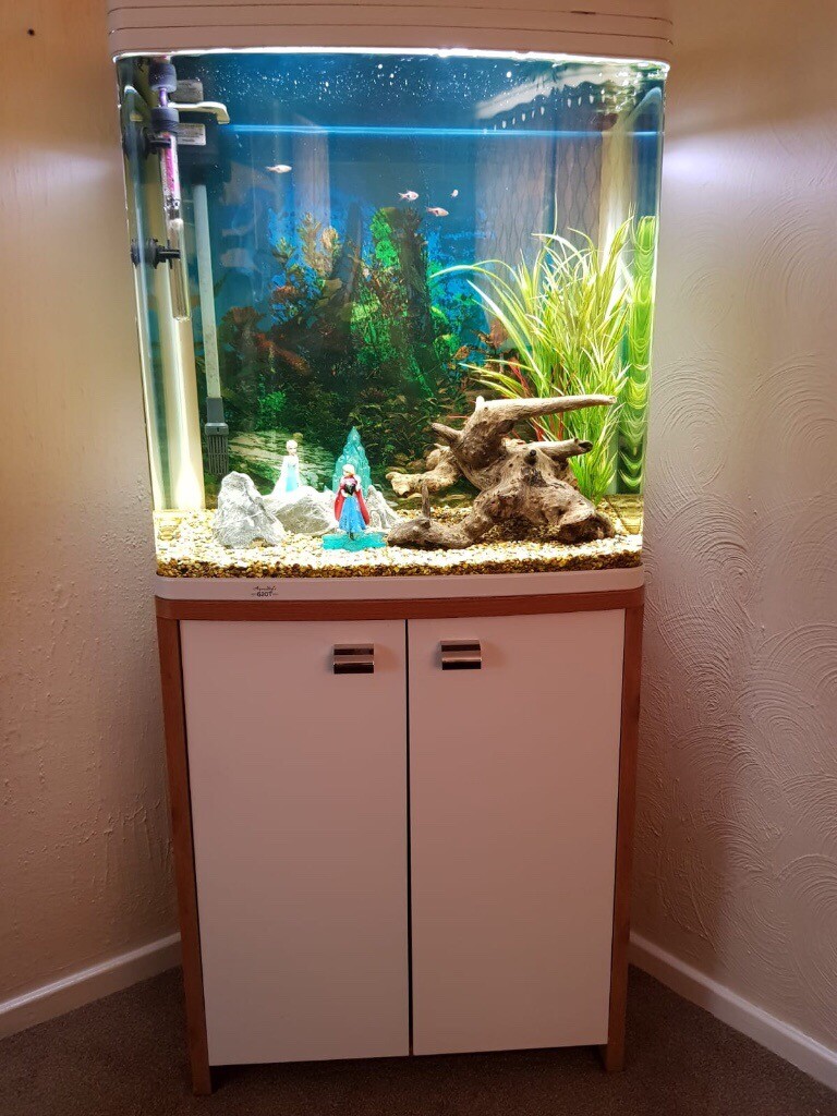 Tropical Fish Tank With or Without Fish in Sinfin, Derbyshire Gumtree