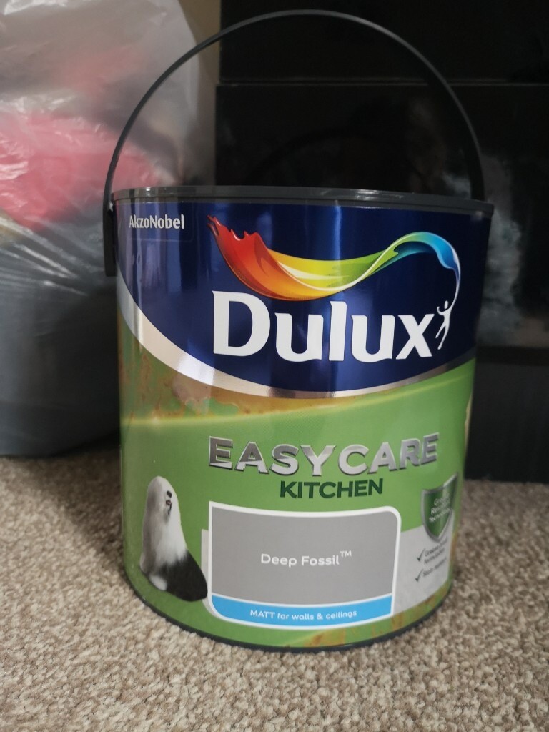 Unused DULUX kitchen paint in Plymouth, Devon Gumtree
