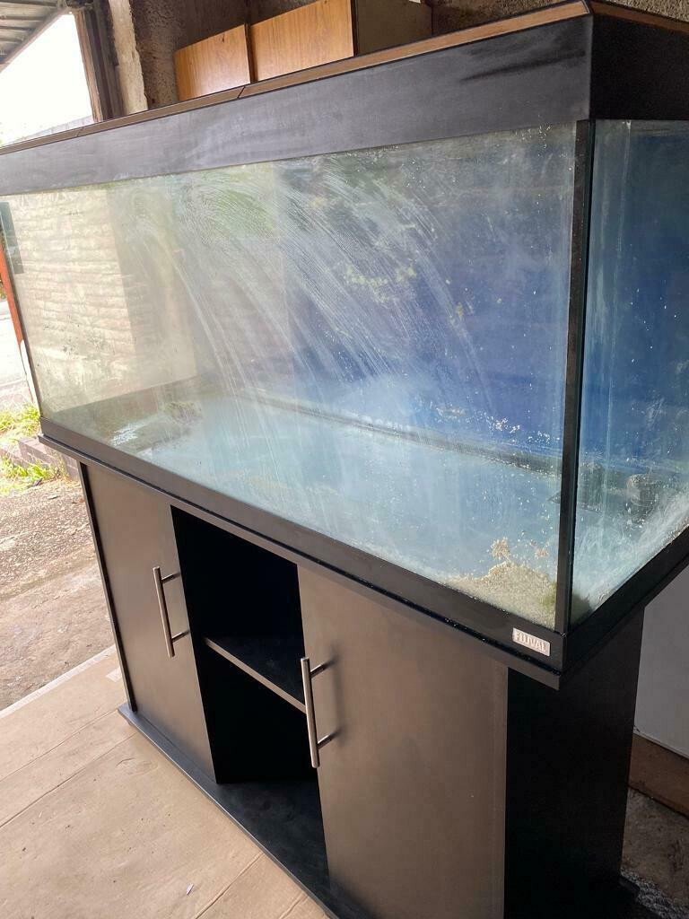 Black 4ft Fluval Juwel Roma 240 tropical marine cold water fish tank