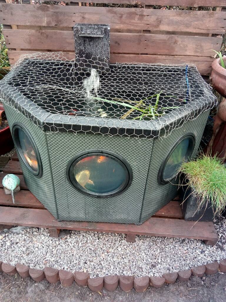 Blagdon affinity pond in Willenhall, West Midlands Gumtree