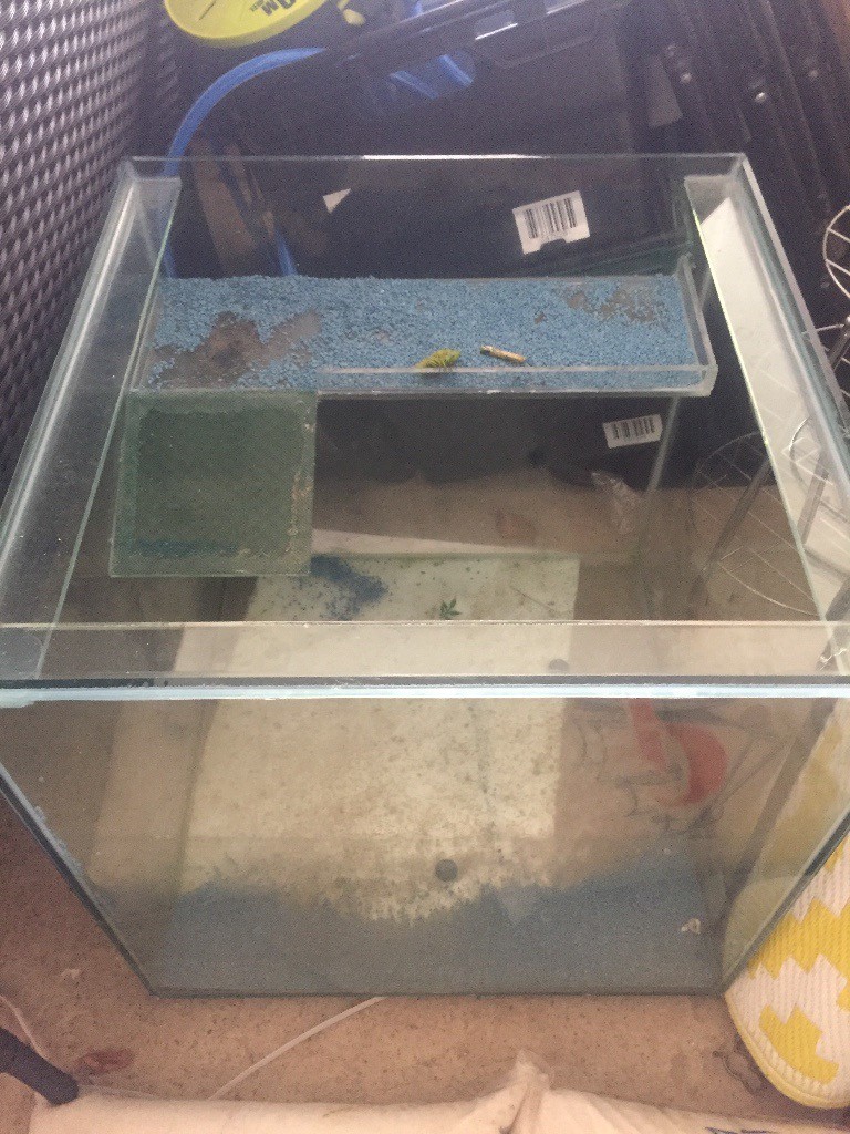 Square large Glass Fish tank in Stewarton, East Ayrshire Gumtree