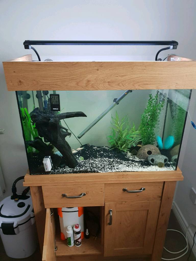 Aqua One OakStyle 145 Aquarium full set up & in Glasgow Gumtree
