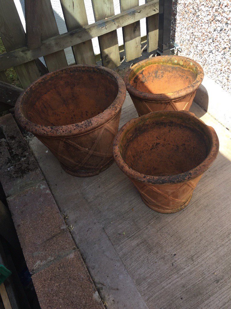 3 Terracotta pots in Newport Gumtree 3 Terracotta pots in Newport Gumtree