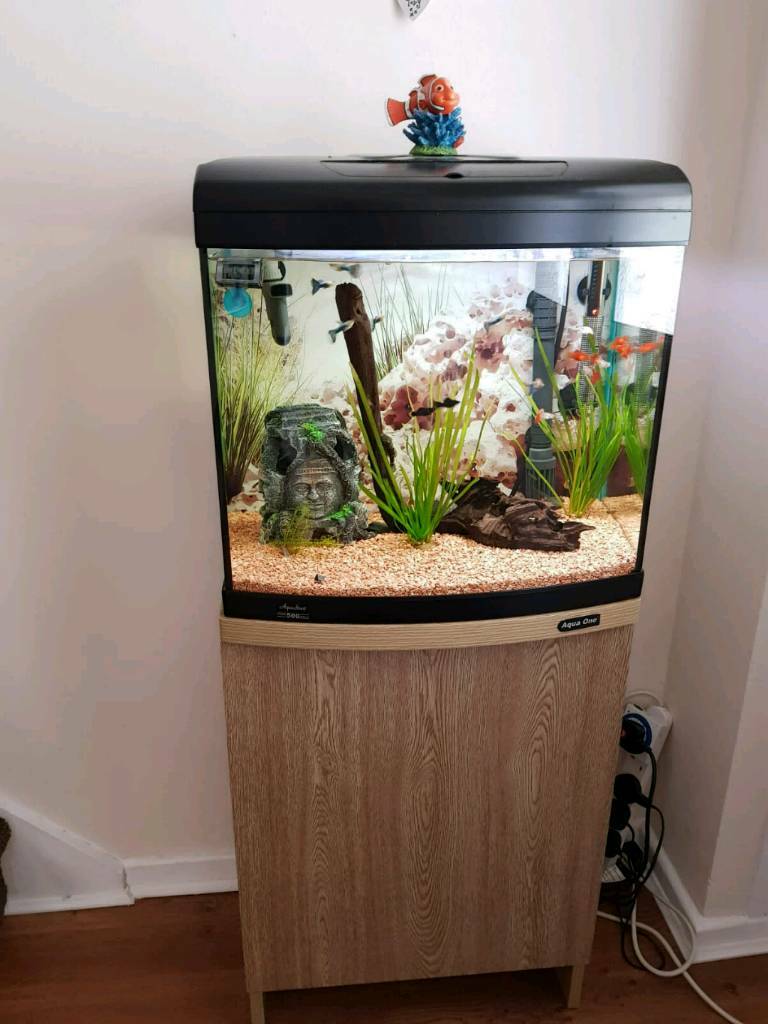 Aqua one Aqua Start 500 fish tank 65 litre in Burtonwood, Cheshire
