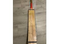 Cricket tennis bat bat coconut 