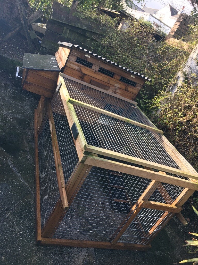 Hen House Chicken Coop For Sale In Milngavie Glasgow Gumtree