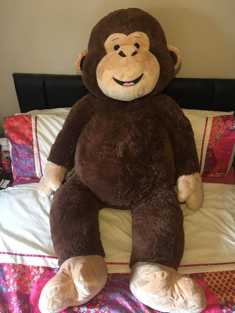 FREE COSTCO MONKEY in Irvine, North Ayrshire Gumtree